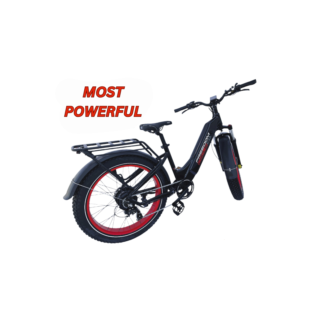 Super Fat Cat ST Electric Bike – Freedom Cycle Co