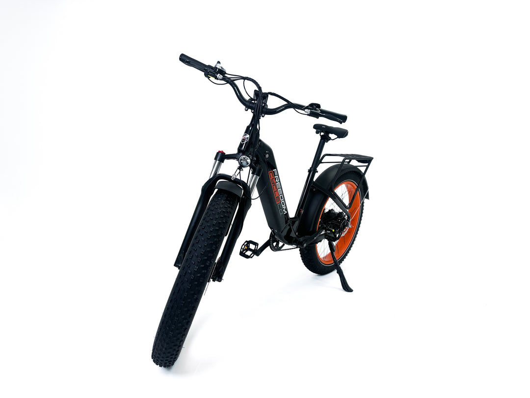 Fat Cat ST Electric Bike