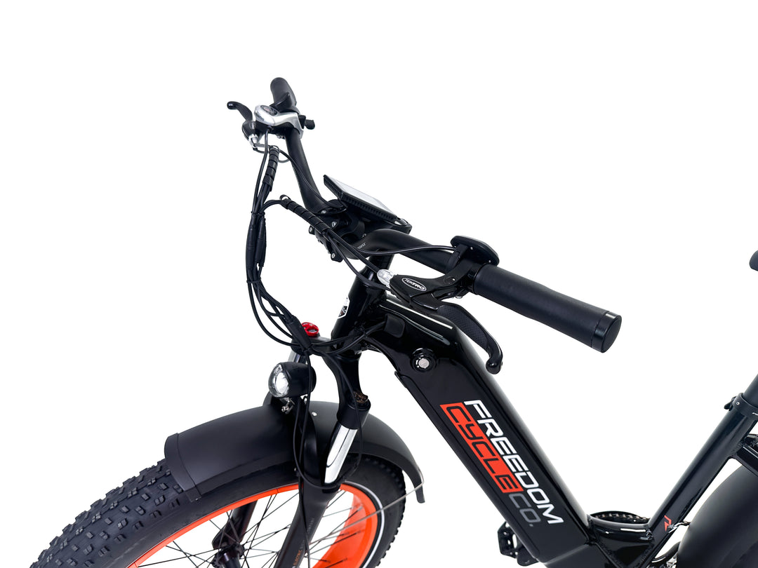 Freedom Cycle Fat Cat ST Electric Bike