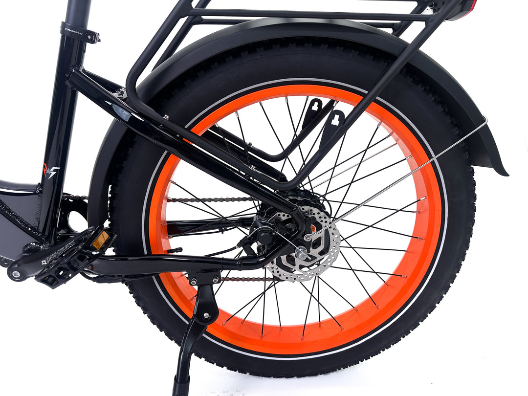 Freedom Cycle Fat Cat ST Electric Bike