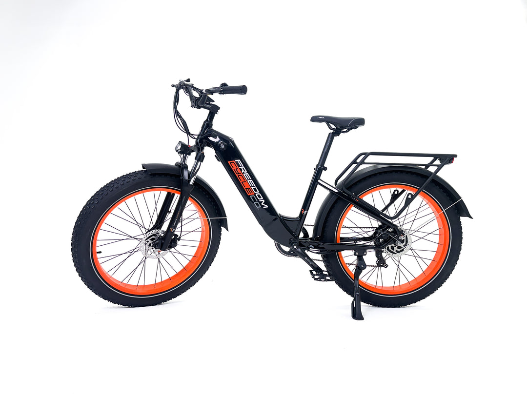 Fat Cat ST Electric Bike