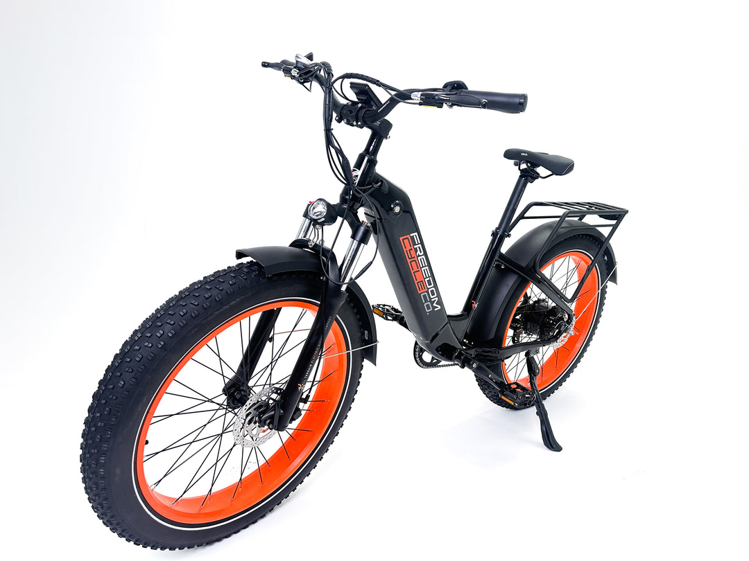 Freedom Cycle Fat Cat ST Electric Bike