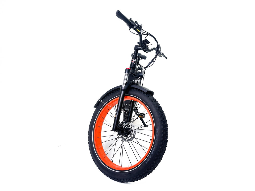 Freedom Cycle Fat Cat ST Electric Bike