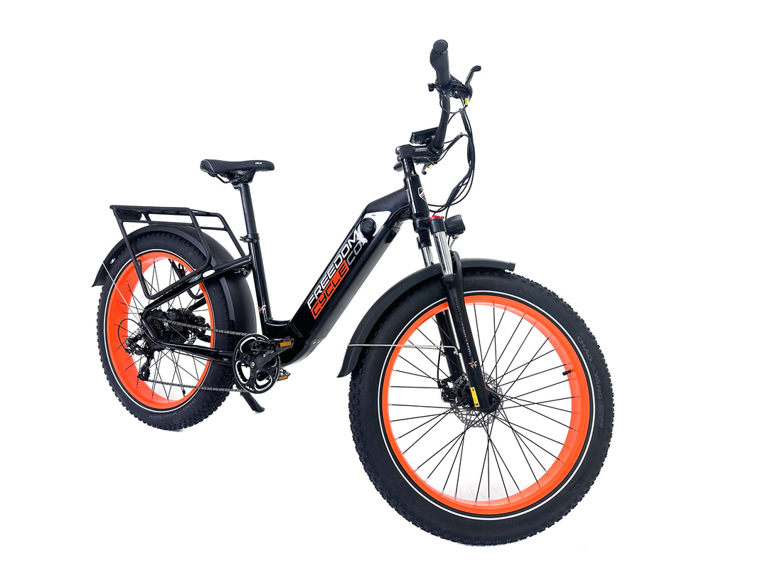 Fat Cat ST Electric Bike