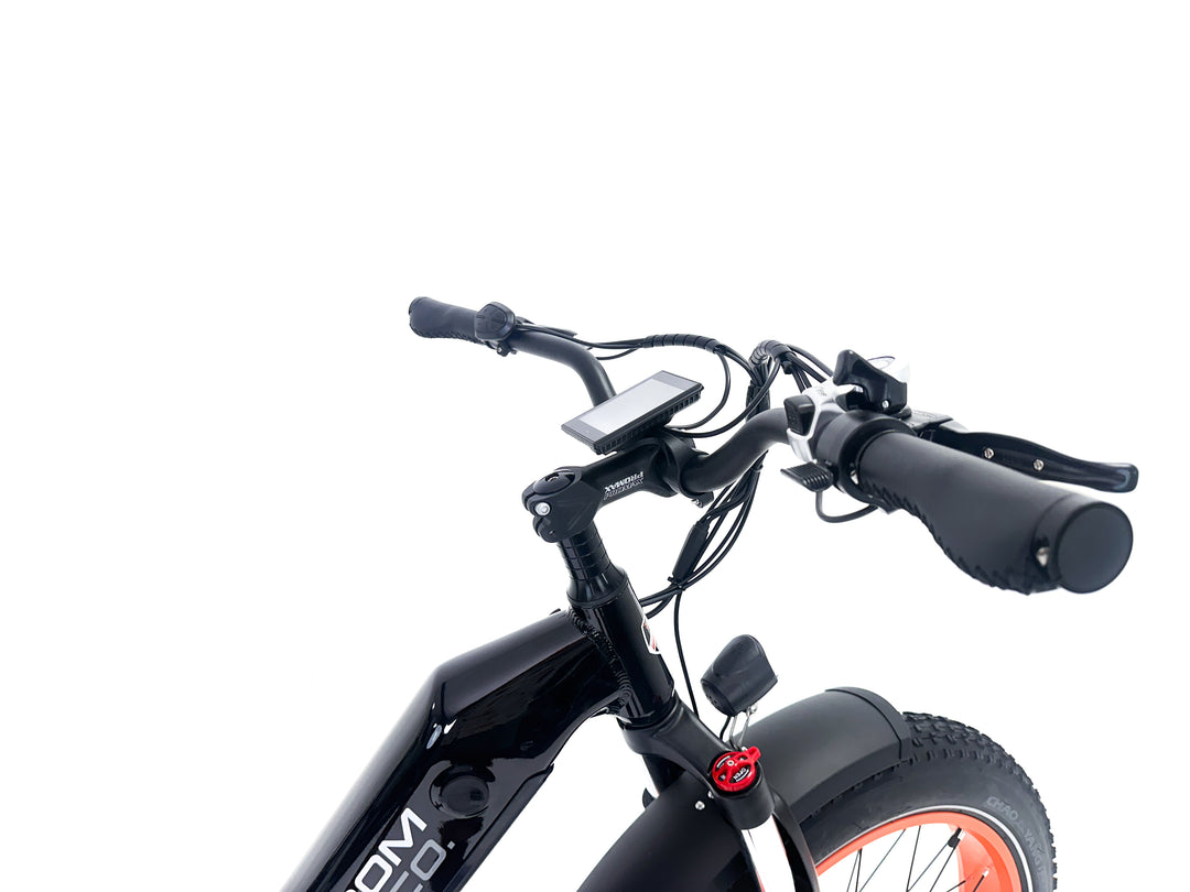 Freedom Cycle Fat Cat ST Electric Bike