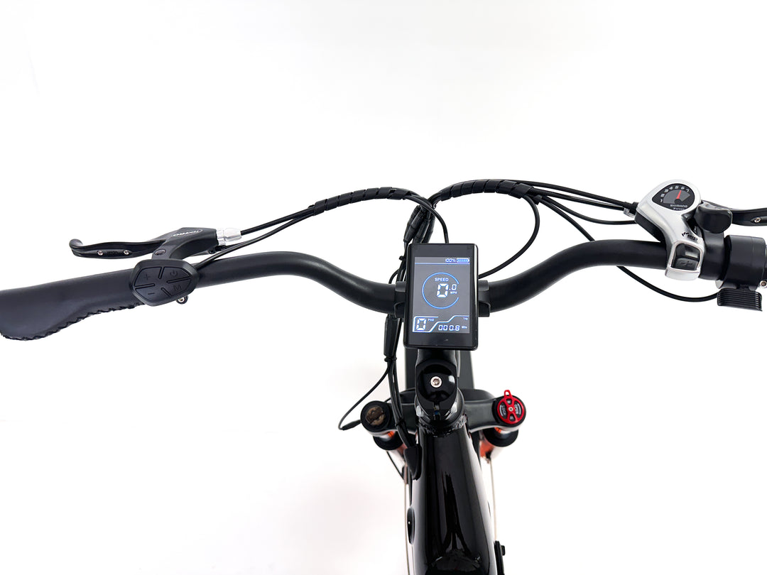 Fat Cat ST Electric Bike