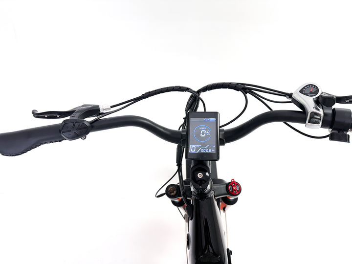 Freedom Cycle Fat Cat ST Electric Bike