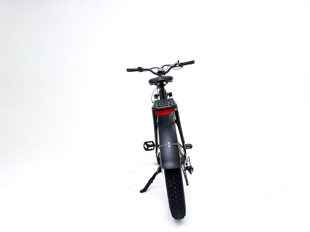 Freedom Cycle Fat Cat ST Electric Bike